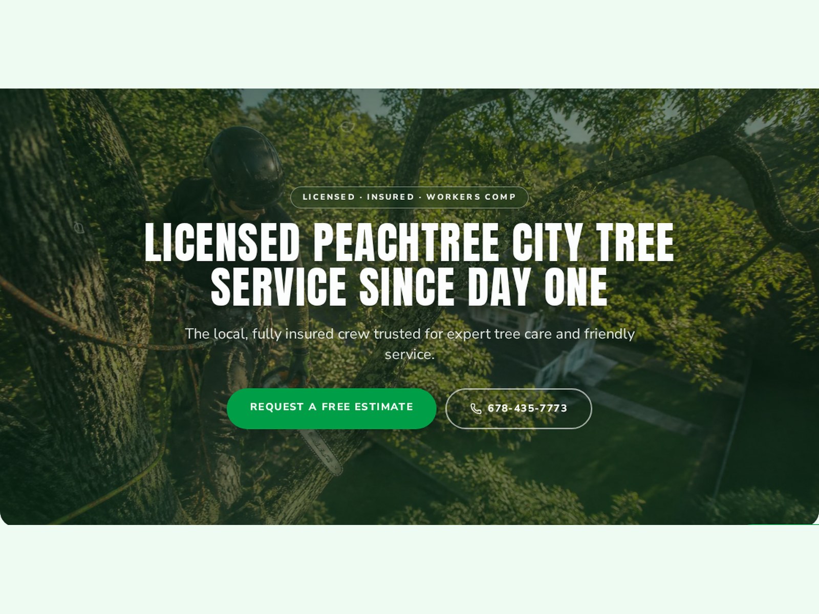 Screenshot of Ricardo's Tree Service